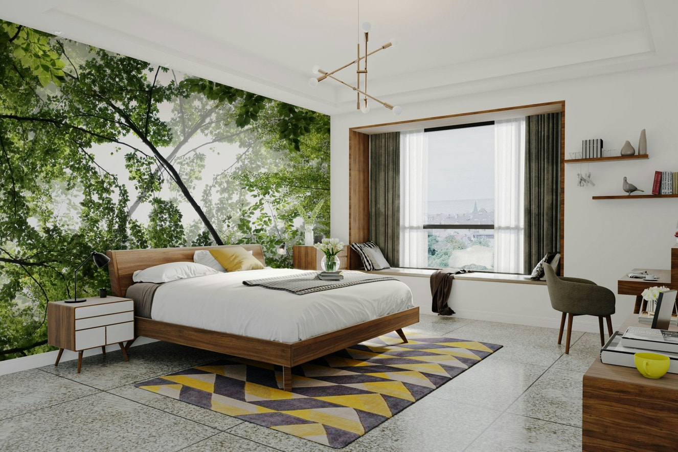 Serene forest canopy.

