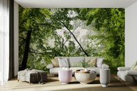 Sense of peace, tranquility, and freshness.

