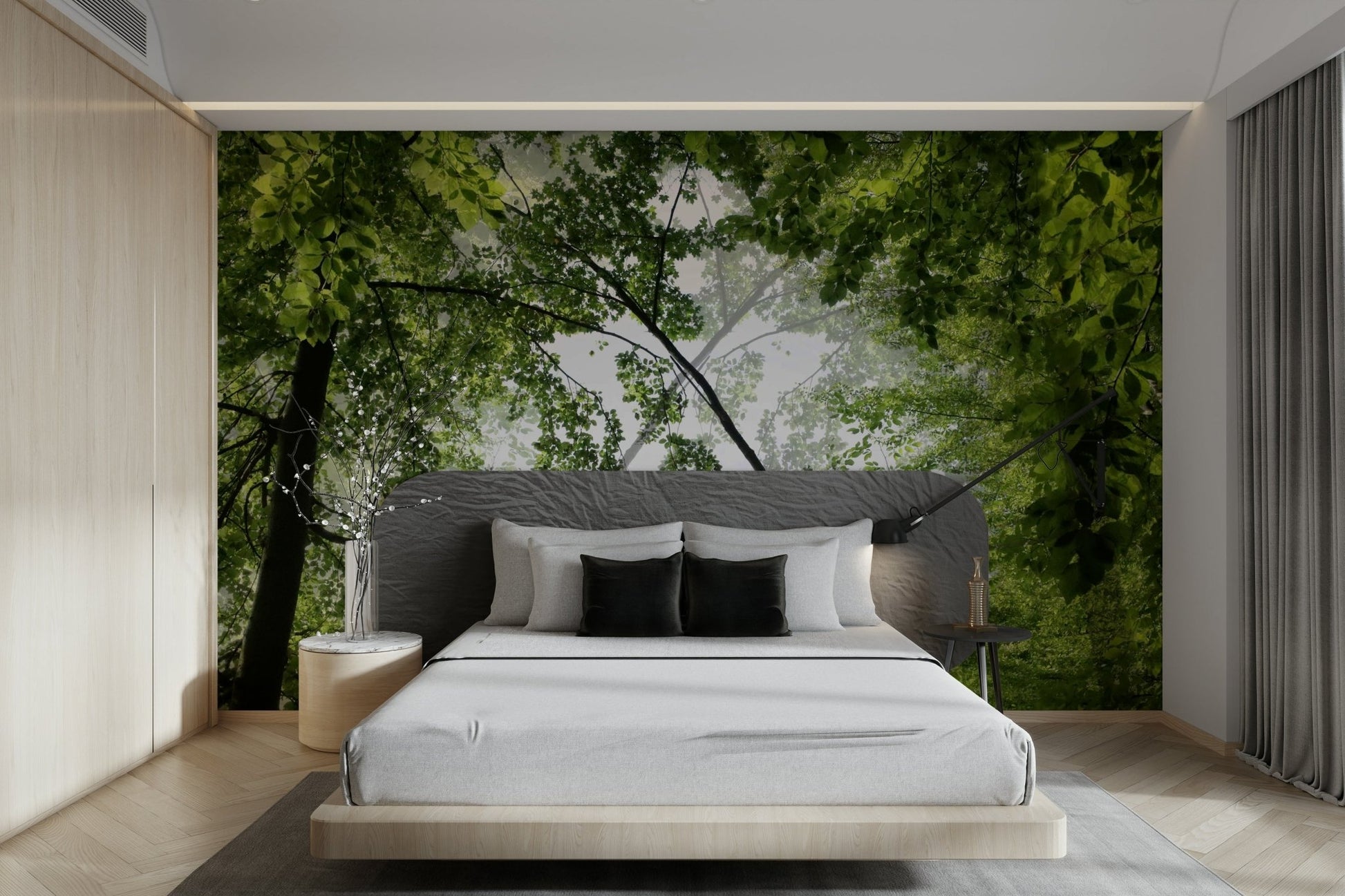 High-resolution photography of a forest.

