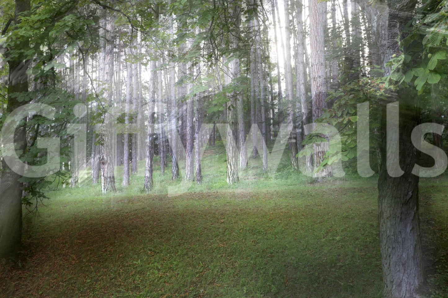 Greenery wall art mural perfect for nature lovers

