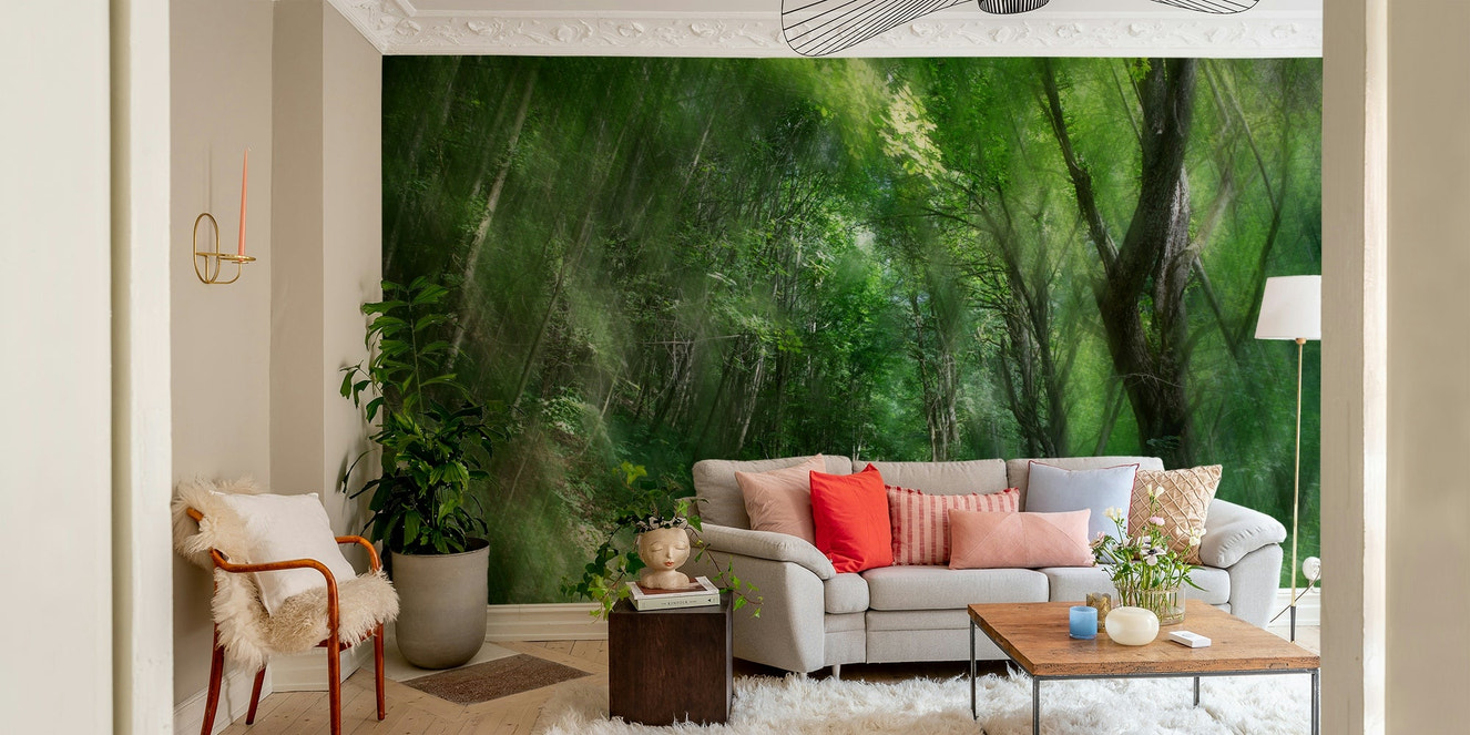 Winding pathway through a green forest.

