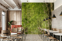 Sense of peace, calm, and inviting journey.

