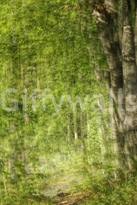 Organic design with a sense of depth.

