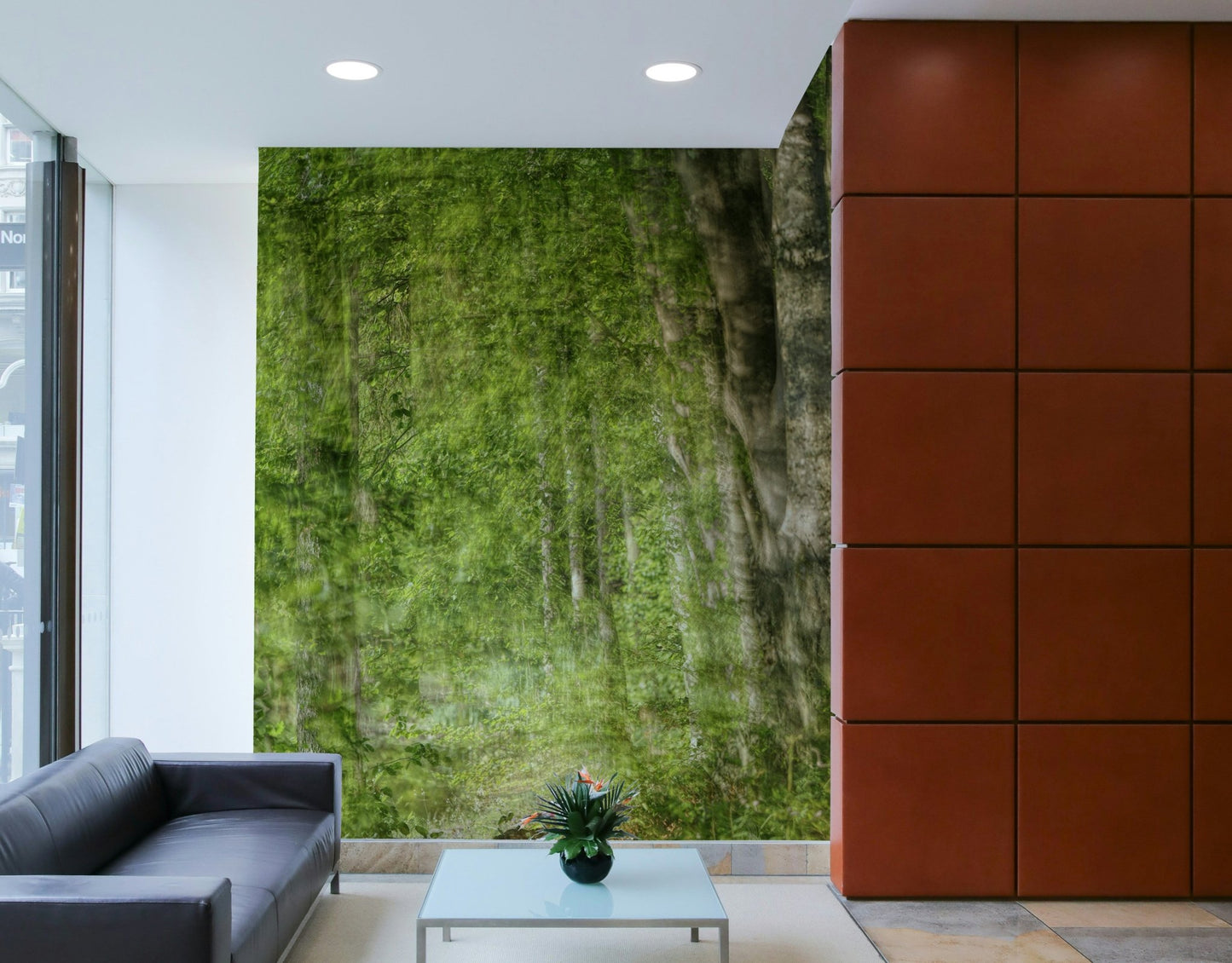 Tranquil nature photography.

