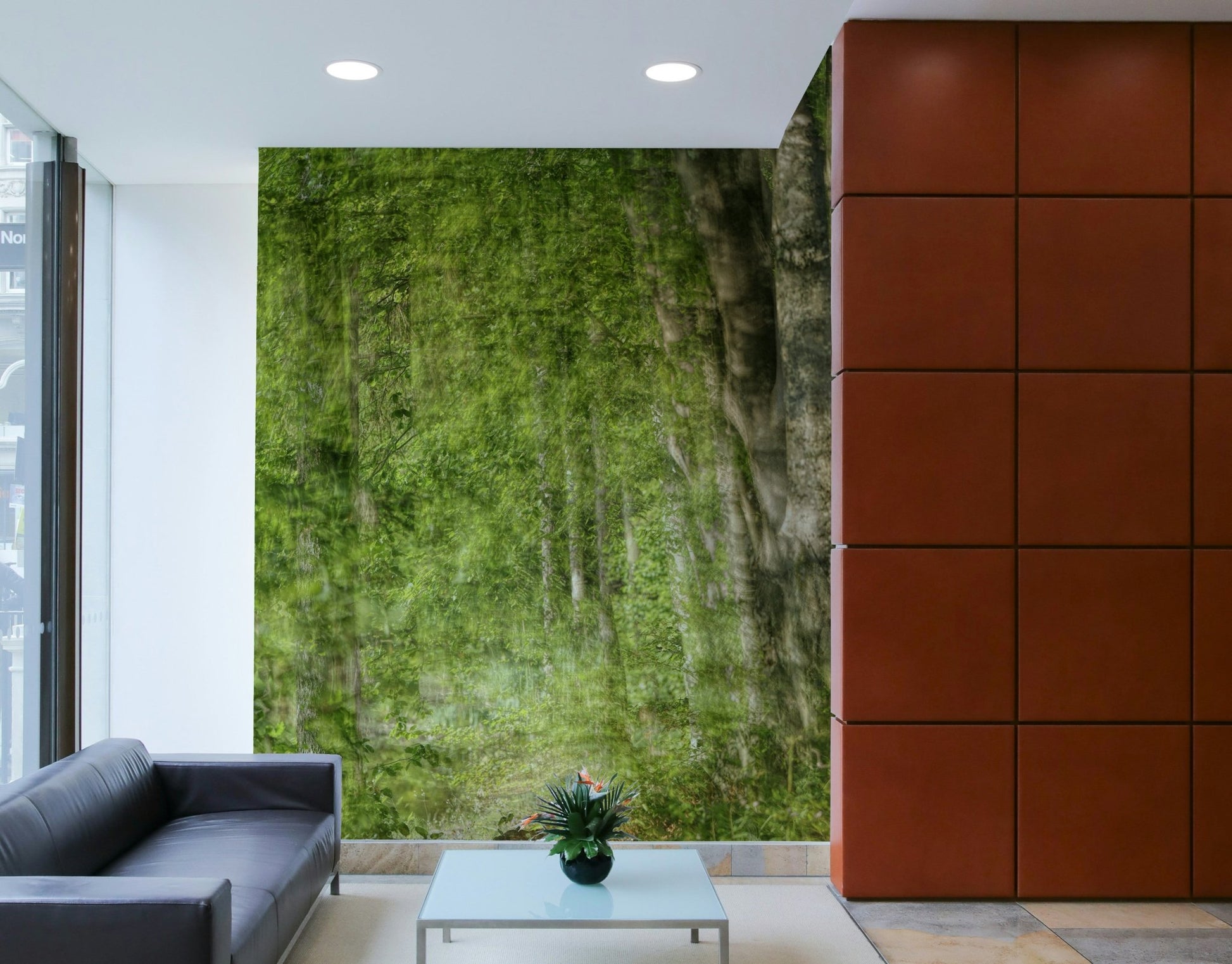 Tranquil nature photography.

