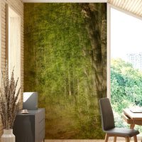 Focus on natural textures and light filtering through trees.

