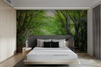 A wall mural of a serene forest pathway. GD2770

