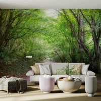 The surrounding trees and plants are lush and green. GD2770

