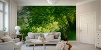 Serene Green Landscape Photography - Tranquil Tree and Lush Grass Scene Wall Mural