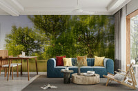 Soft light filters through the tree canopy, creating a peaceful glow.

