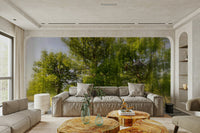 The image shows tall, lush trees with thick foliage.

