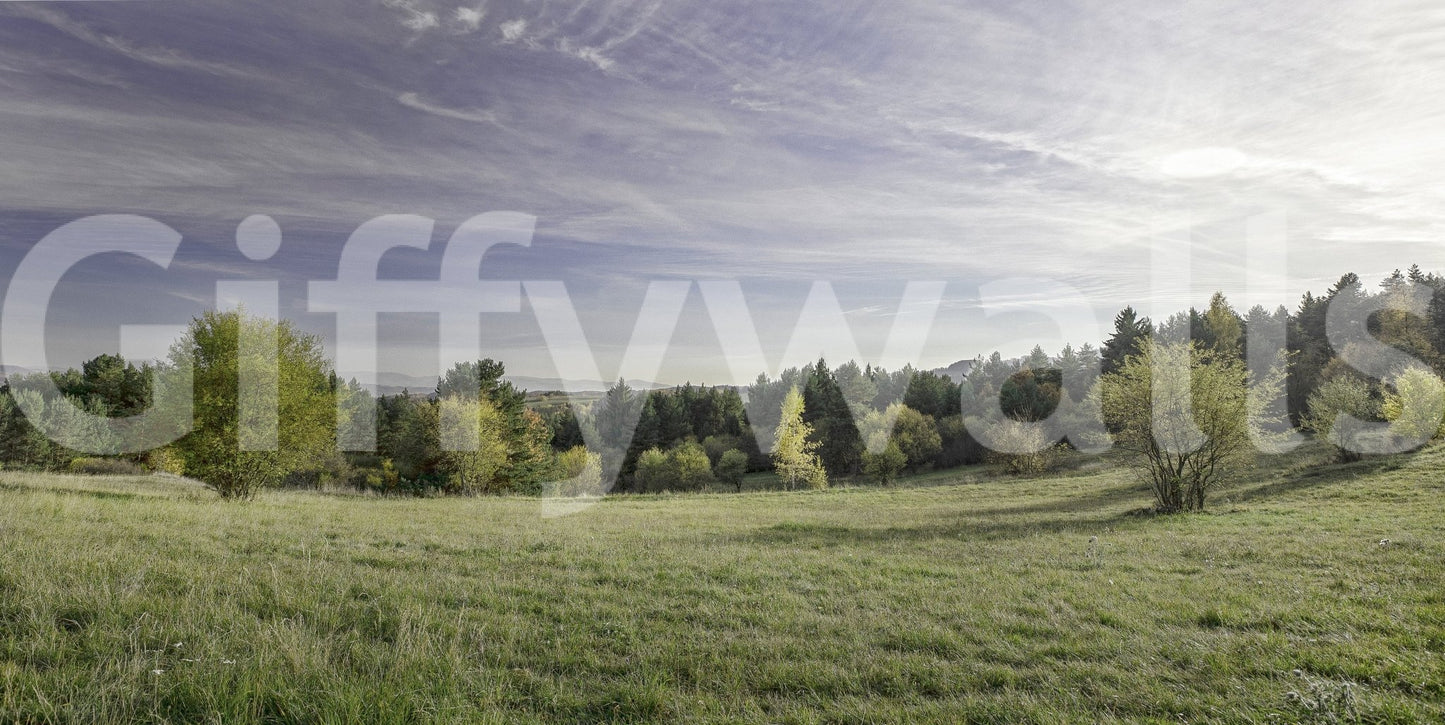 A harmonious statement piece for any home.

