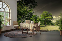 The wall mural is installed on a living room feature wall.

