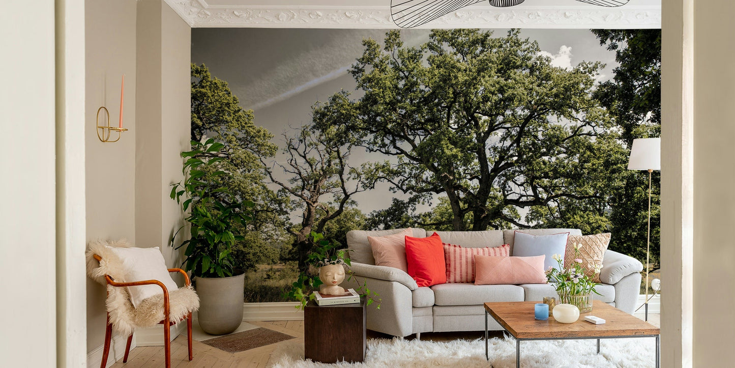 The room feels calm and open due to the natural scene.

