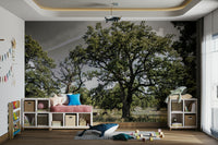 The wallpaper is applied seamlessly, making the view feel realistic.

