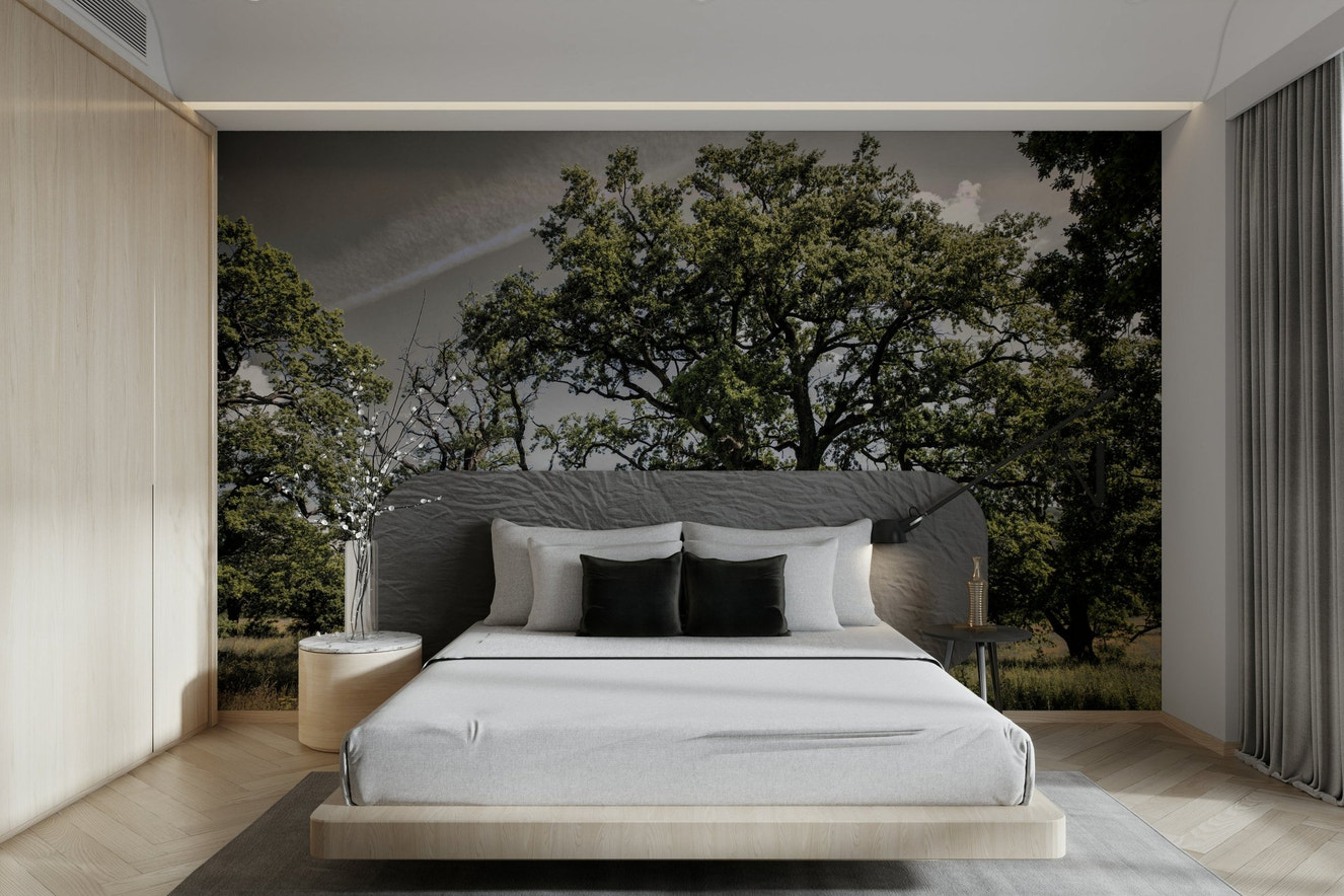 A photo-realistic wall mural of a serene oak grove.

