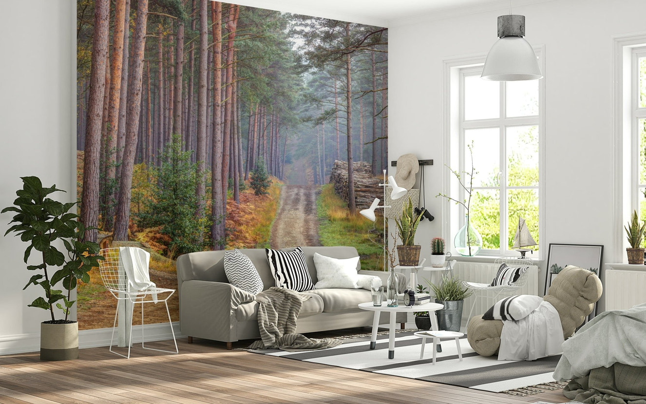 Serene Road Through Autumn Splendor wall mural for a warm living room.