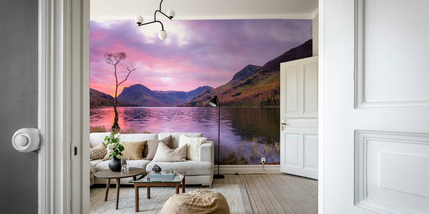 Serene Scene Wall Mural