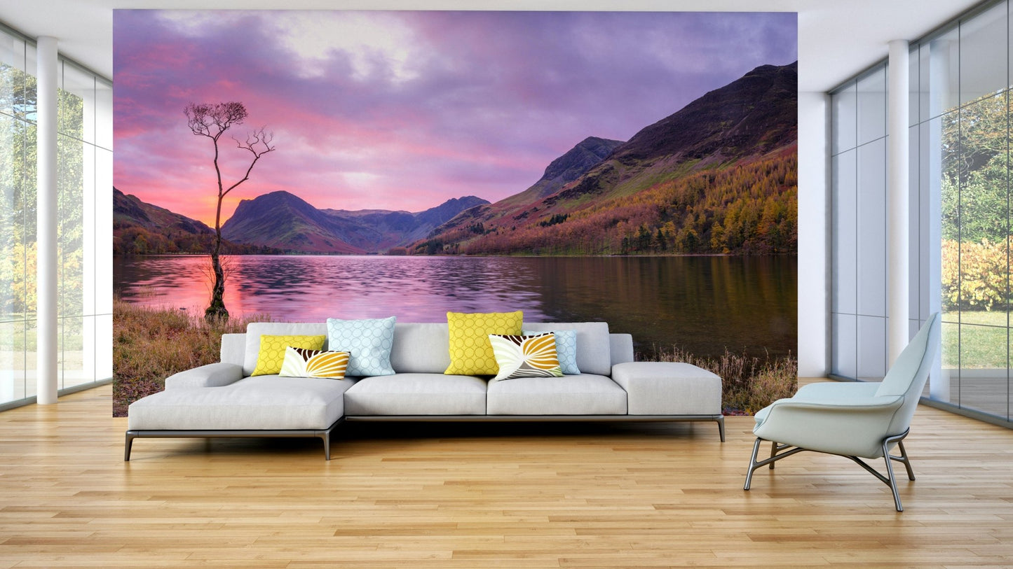 Serene Scene Wall Mural