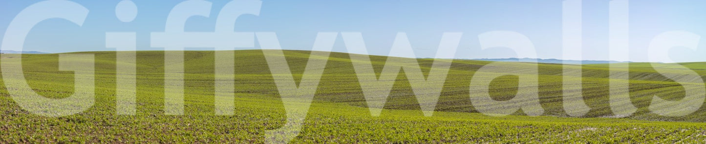 Scenic spring view with wildflowers mural

