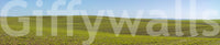 Scenic spring view with wildflowers mural

