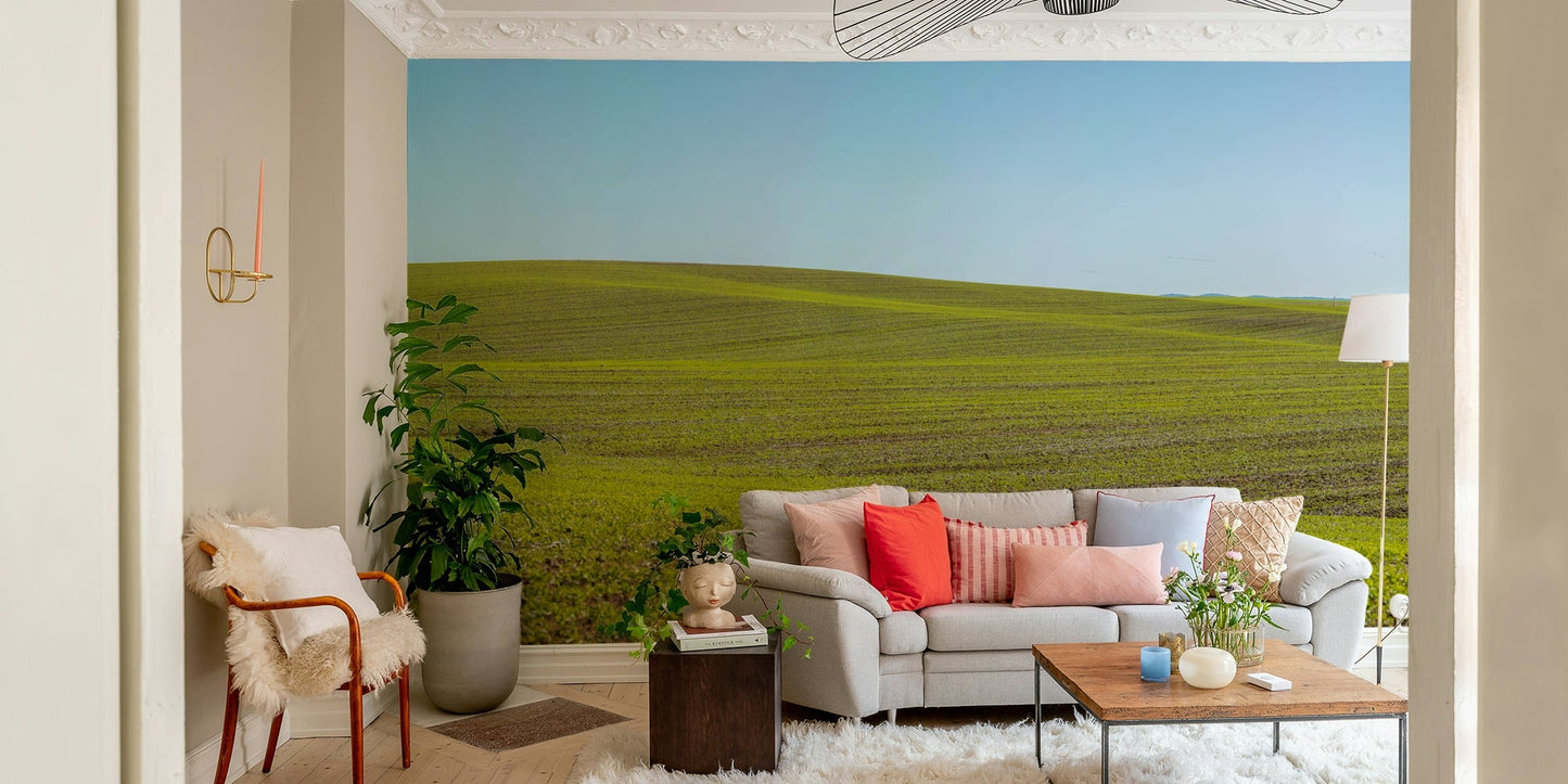 Gentle spring season wall mural

