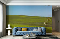 Peaceful spring meadow wallpaper mural


