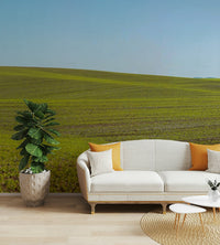 Green and floral field wallpaper design

