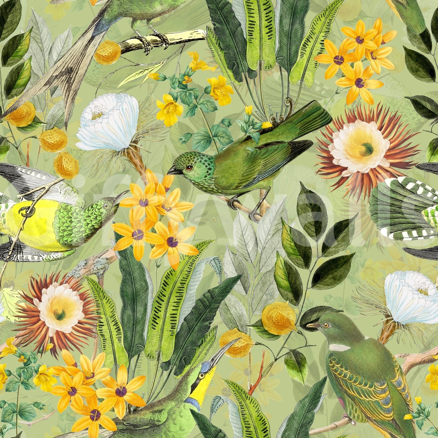 Serene Tropical Aviary Wallpaper⁠