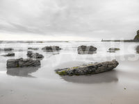 Open shoreline view in Shoreline Hues wall mural scene