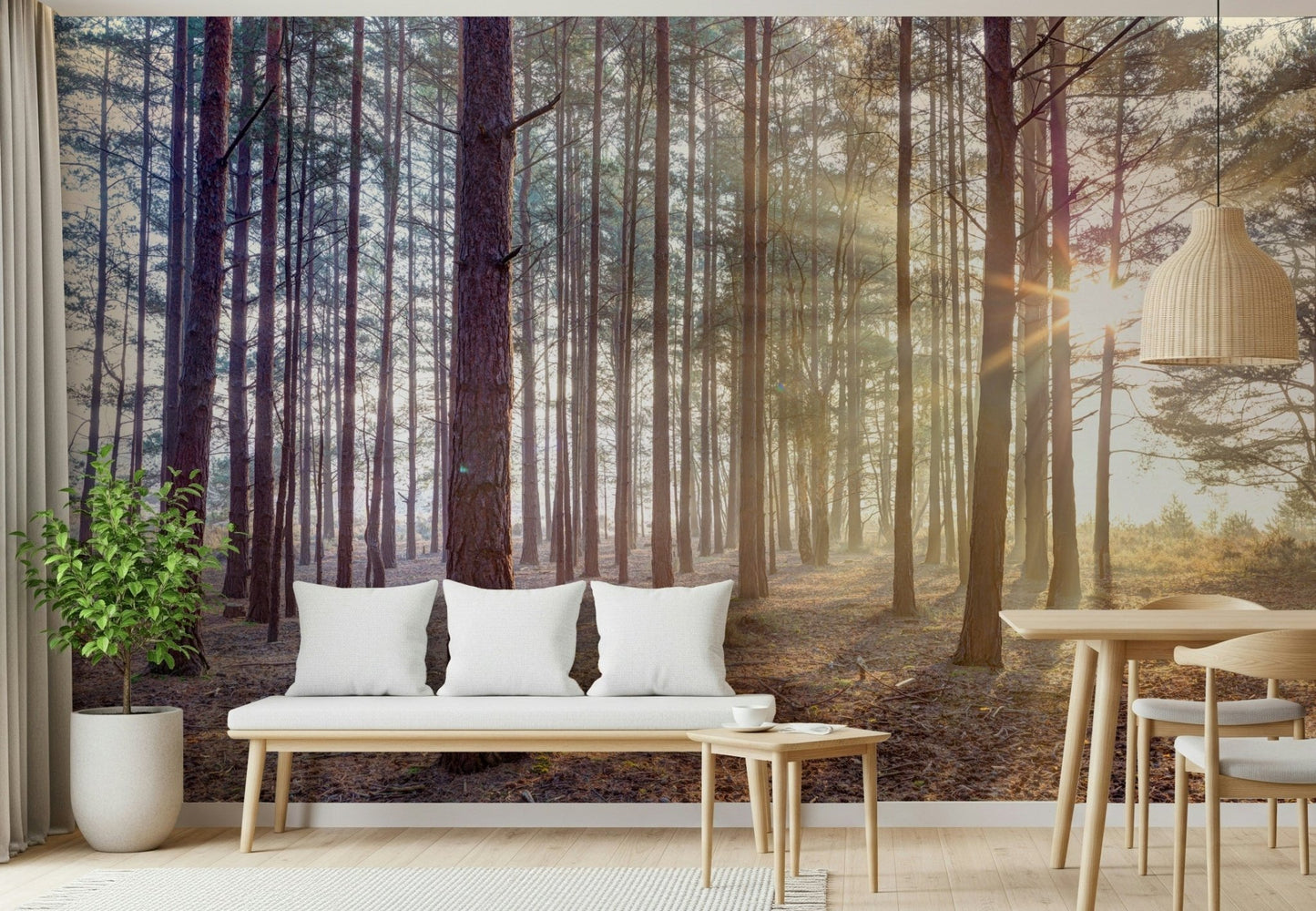 Minimalist Shrouded in Mystery Wall Mural for a guest room wallpaper.