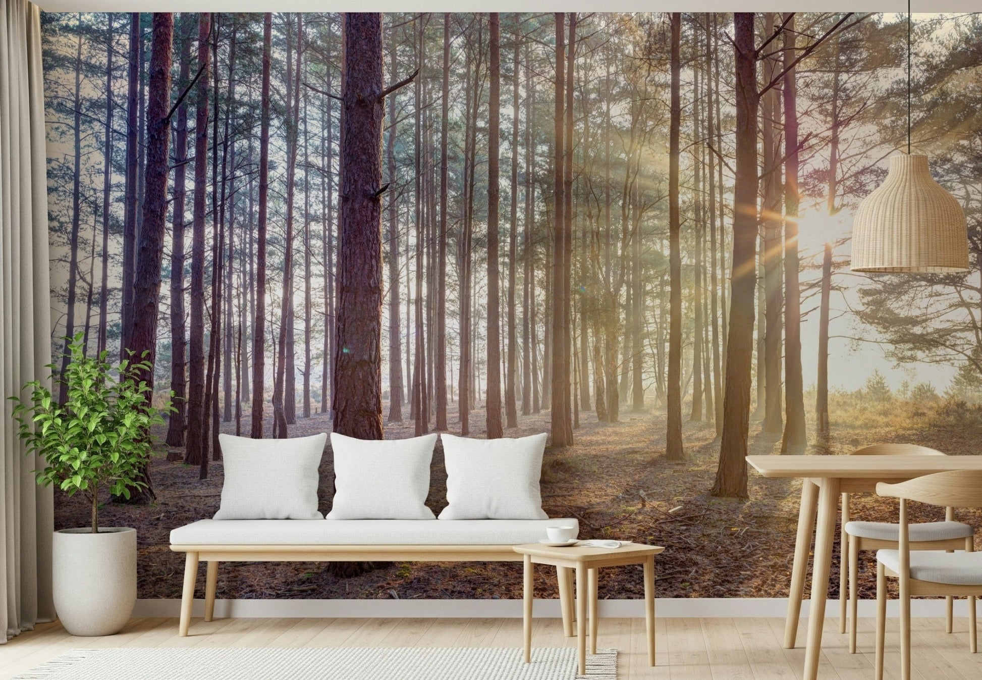 Minimalist Shrouded in Mystery Wall Mural for a guest room wallpaper.