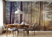 Mist covered mountains wallpaper for a professional office wall mural.