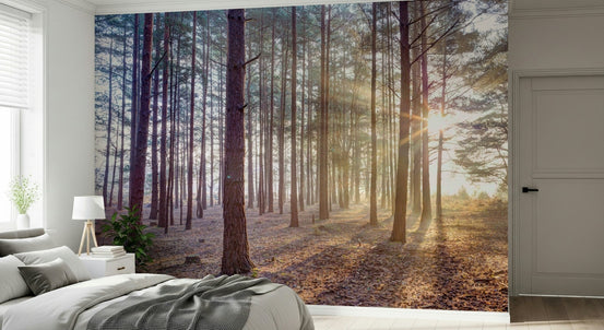 Shrouded in Mystery Wall Mural for a moody living room wallpaper., GD7794