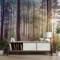Atmospheric grey clouds wall mural for a modern hallway wallpaper.