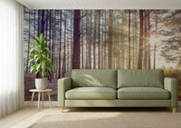 Subtle grey haze wall mural for an apartment living space wallpaper.