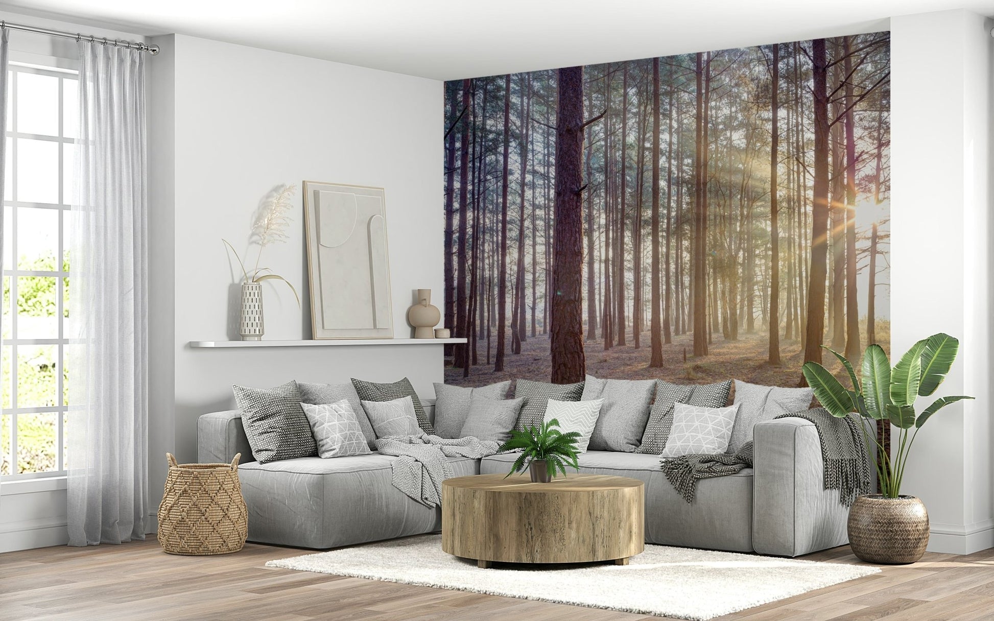 Mysterious woodland wallpaper for a nature themed lounge wall mural.