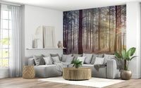 Mysterious woodland wallpaper for a nature themed lounge wall mural.