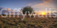 A high-quality sunset landscape wall mural for walls., GD4633
