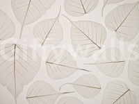 Soft natural texture in Skeletal Leaves wall mural