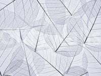 Skeleton Leaves wallpaper subtle organic overlapping leaves.