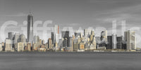 Skyline of New York City Wall Mural scenic view
