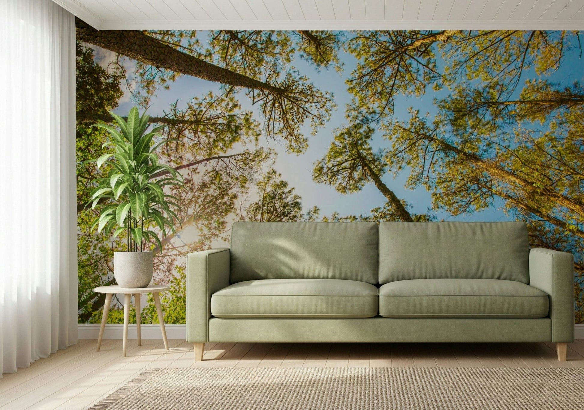 Vertical forest wallpaper capturing the scale of ancient woodland trees.