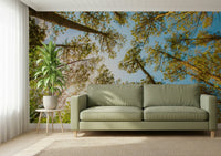 Vertical forest wallpaper capturing the scale of ancient woodland trees.
