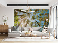 Green forest wallpaper illustrating a dense ceiling of deciduous leaves.