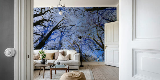 A vibrant and abstract wall mural., GD2687