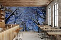 The design is abstract, with dynamic forms and possibly blurred or stylized elements.
