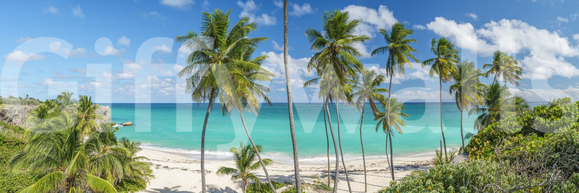 Idyllic shoreline scene
