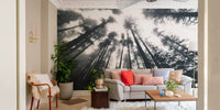 Spooky forest mural with treetops
 mountain-18