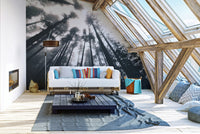 Halloween forest wallpaper for walls
